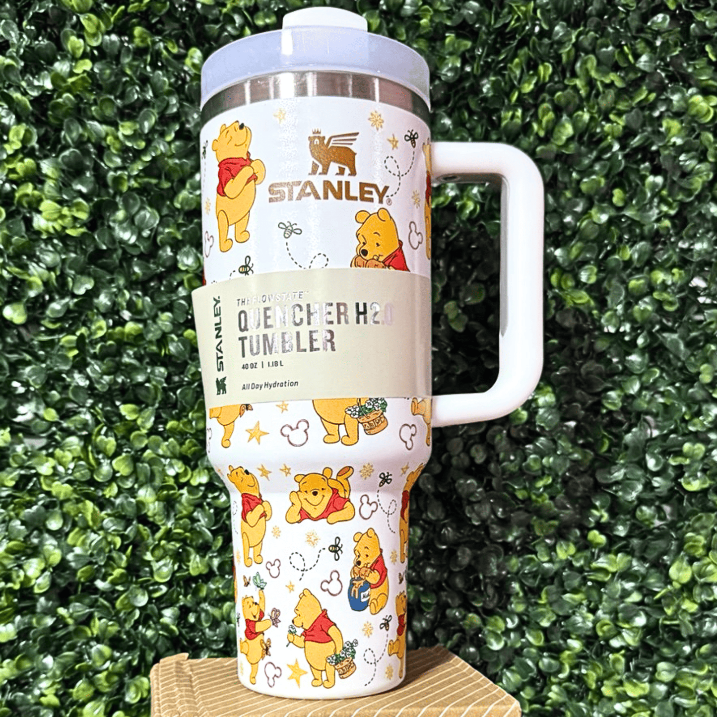Exclusivo: Garrafa Térmica 1.2L Edição Especial Ursinho Pooh Caixa Customizada + *BRINDE 1x Chaveiro Exclusivo* - EDIÇÃO LIMITADA